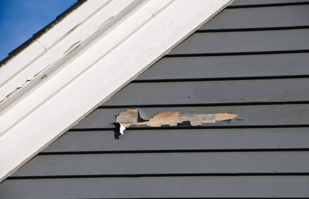 Siding Removal and Disposal in Larimore, ND